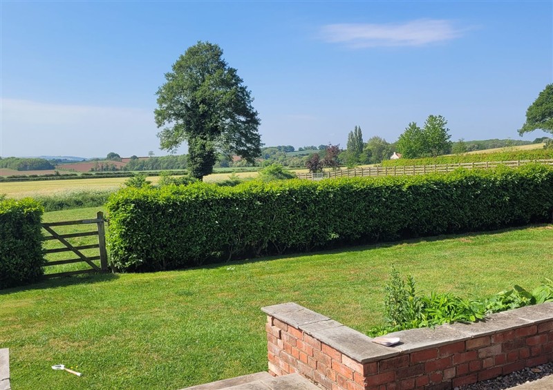 This is the garden at Filly Brook, Bishops Frome