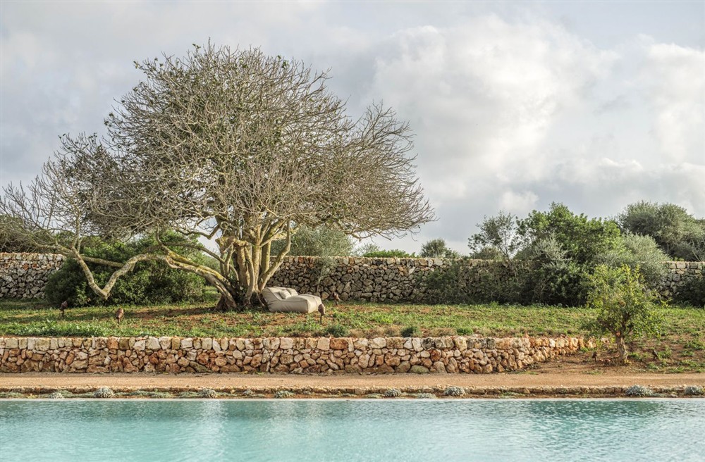 Finca Macarella