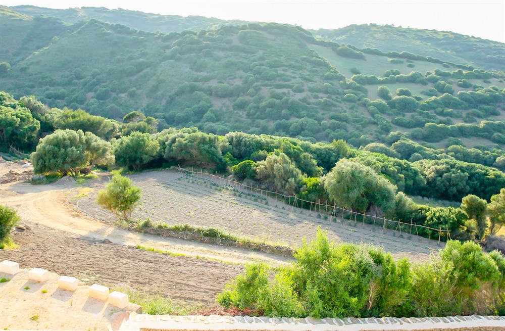 Finca Veranda (photo 78) at Finca Veranda in , Spain