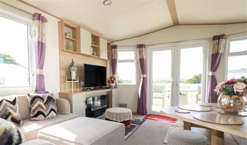 The living room at Finch 25 - Meadow Lakes Holiday Park, Hewas Water near Polgooth