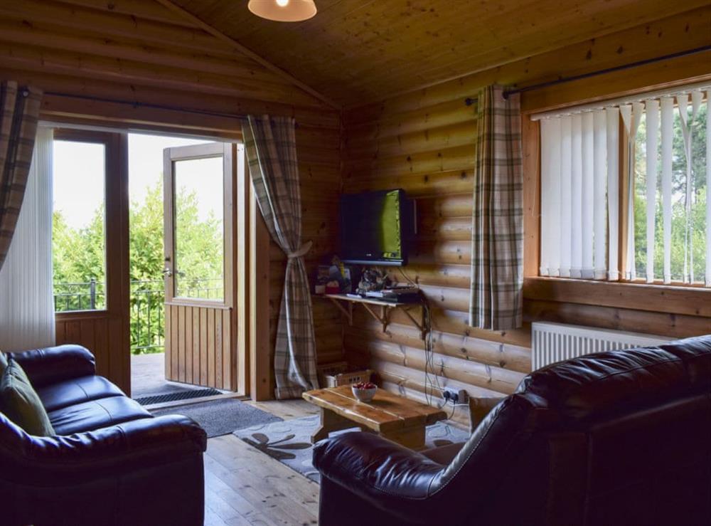 Open plan living/dining room/kitchen (photo 2) at Fingask Log Cabin in Perth, Perthshire