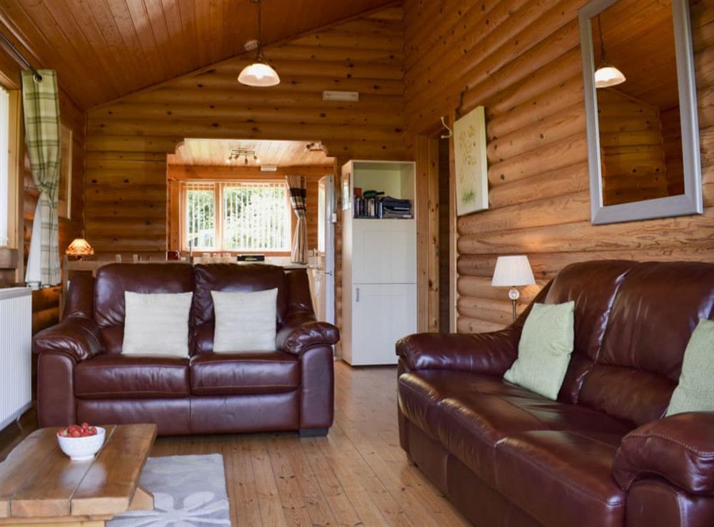 Open plan living/dining room/kitchen at Fingask Log Cabin in Perth, Perthshire