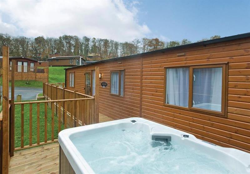 Typical Platinum Country Four VIP at Finlake Lodges in Chudleigh, Newton Abbot, Devon