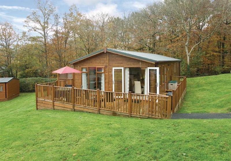Typical Platinum Country Six Lodge at Finlake Lodges in Chudleigh, Newton Abbot, Devon