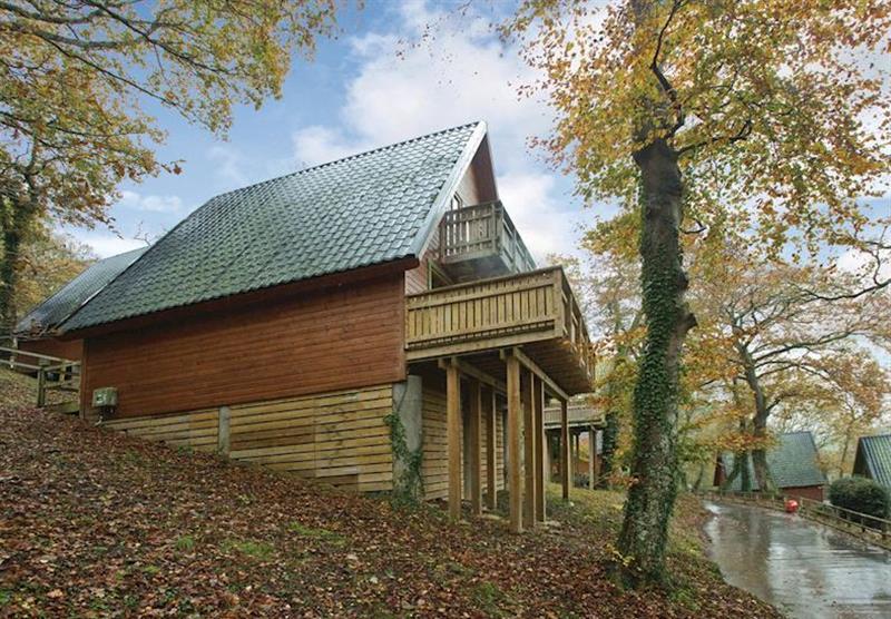 Typical Woodland Four Deluxe Lodge (photo number 23) at Finlake Lodges in Chudleigh, Newton Abbot, Devon