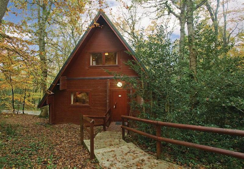 Typical Woodland Four Lodge at Finlake Lodges in Chudleigh, Newton Abbot, Devon