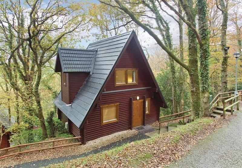 Typical Woodland Four Luxury Lodge at Finlake Lodges in Chudleigh, Newton Abbot, Devon