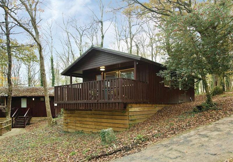 Typical Woodland Six Cabin at Finlake Lodges in Chudleigh, Newton Abbot, Devon