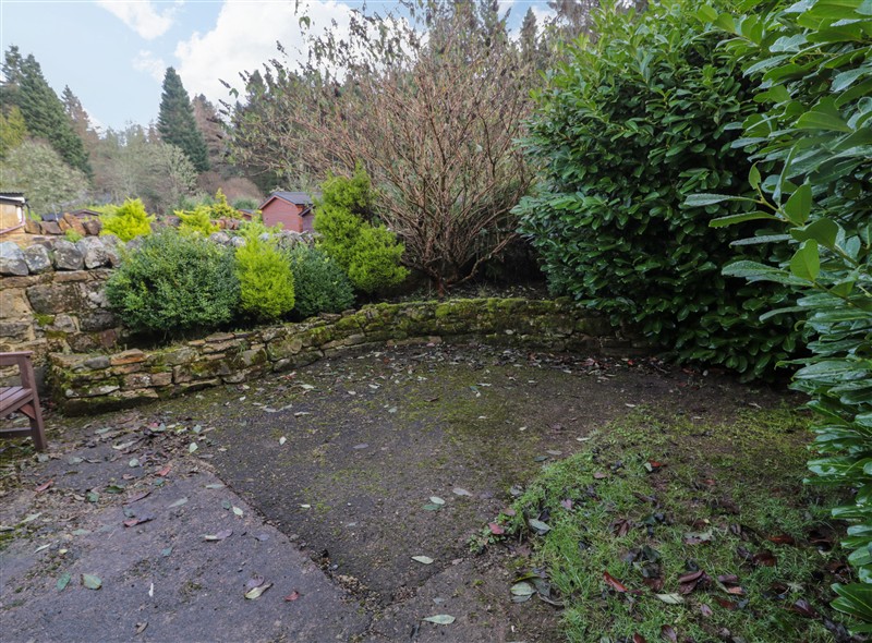 The garden in Fir Tree Cottage at Fir Tree Cottage, Cottonshopeburnfoot near Otterburn