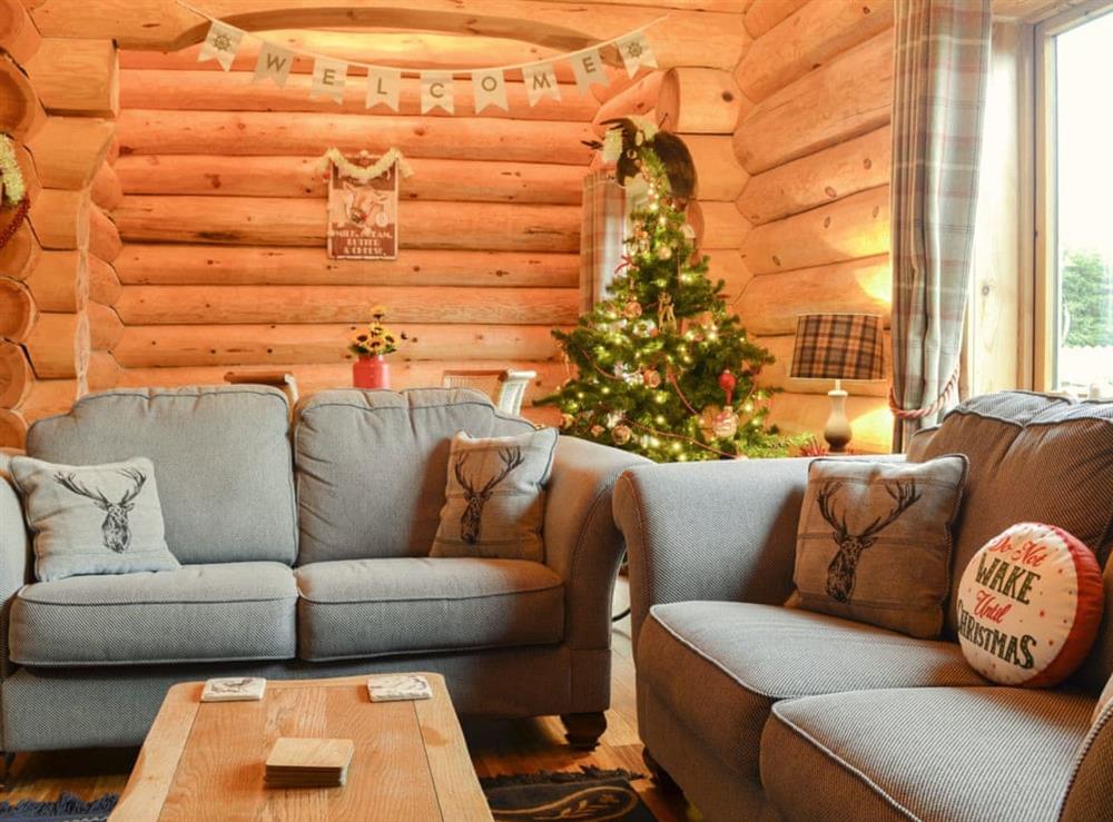 Living area decorated for Christmas at Fir Tree Lodge in Groesffordd Marli, near Abergele, Denbighshire