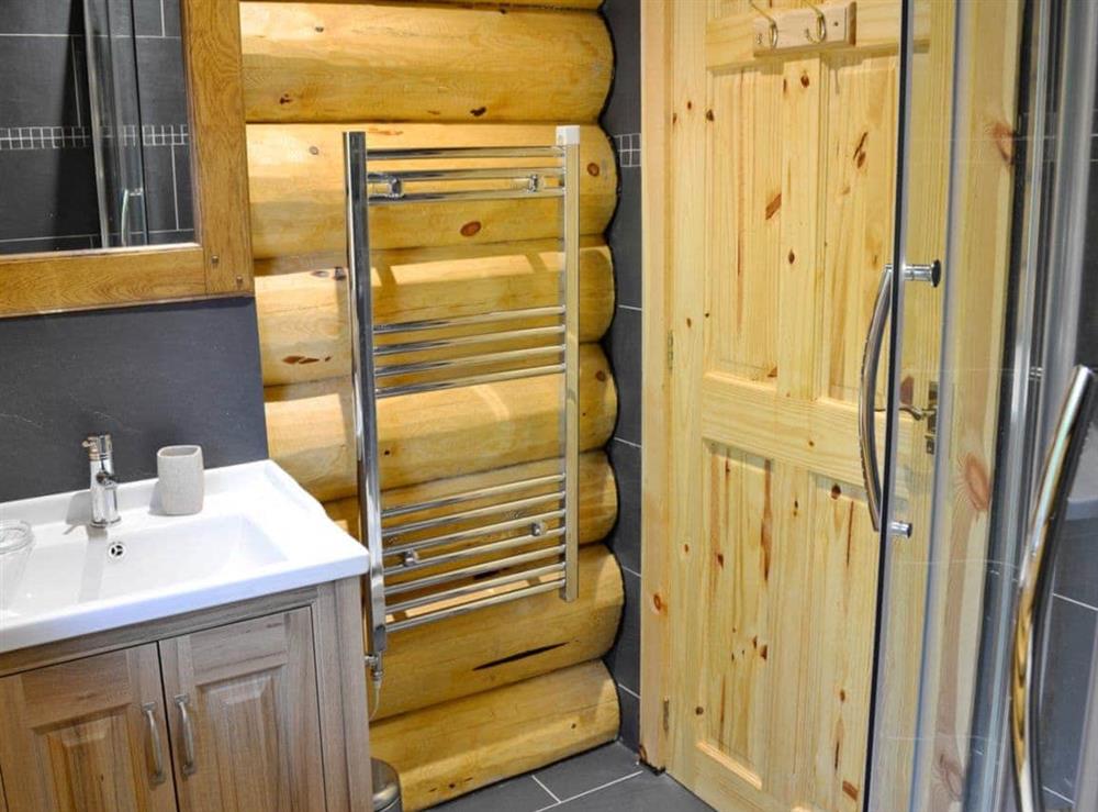 Shower room at Fir Tree Lodge in Groesffordd Marli, near Abergele, Denbighshire