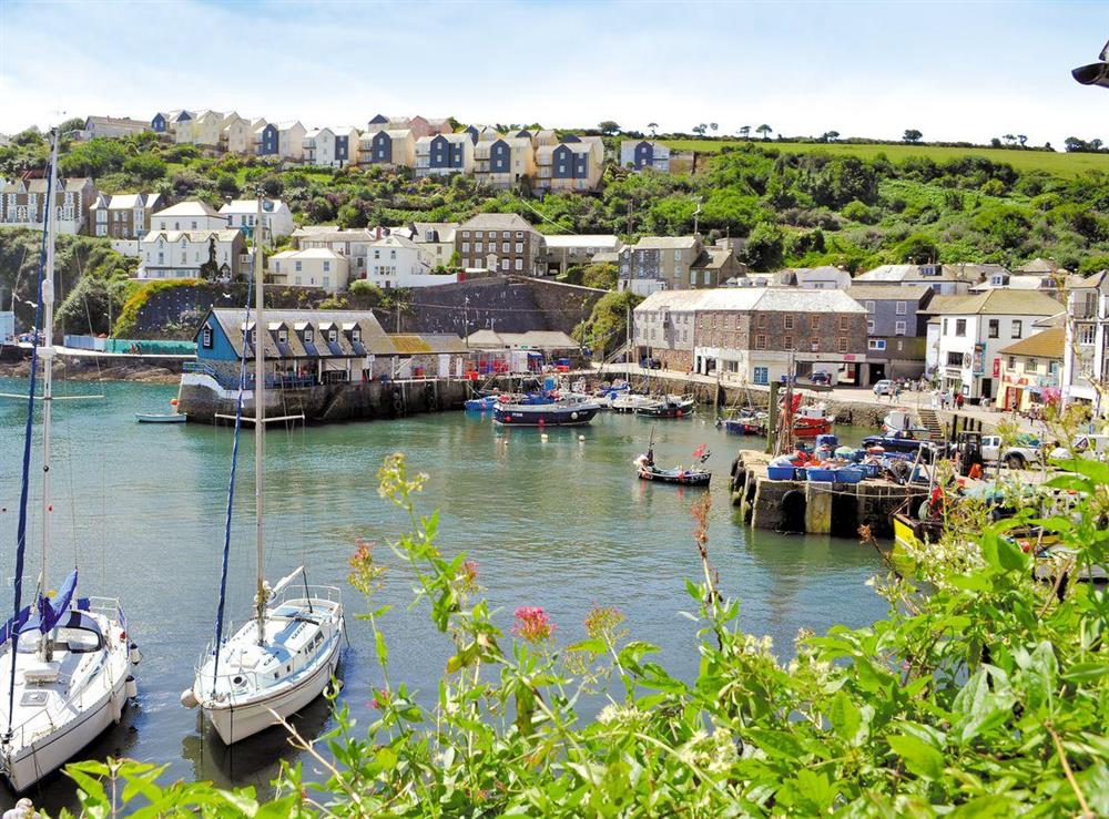 Photos of Fishermans Cottage, Mevagissey, Cornwall