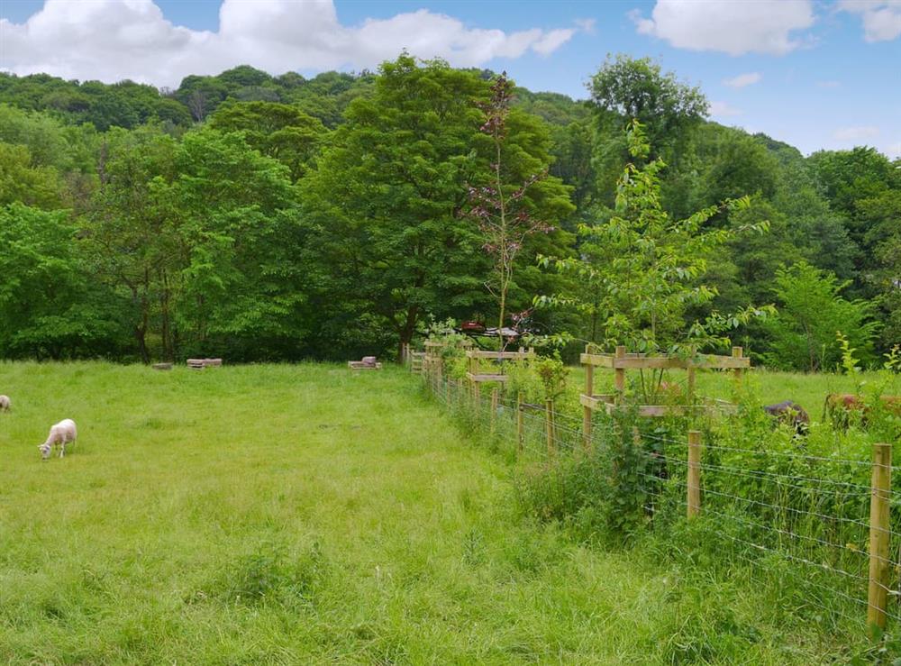 Surrounded by attractive grounds, meadows and woods, home to the owners’ sheep and cows at Fishermans Lodge in Alderwasley, near Matlock, Derbyshire