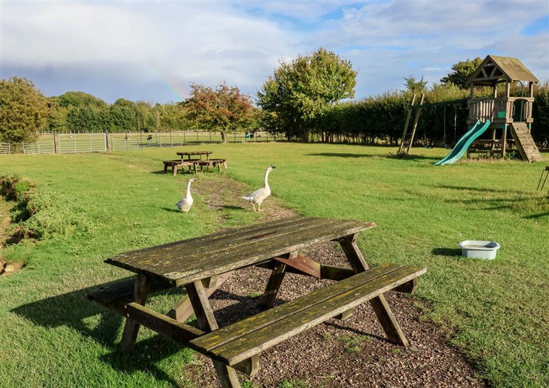 Enjoy the garden at Fishermans Rest, Ipswich