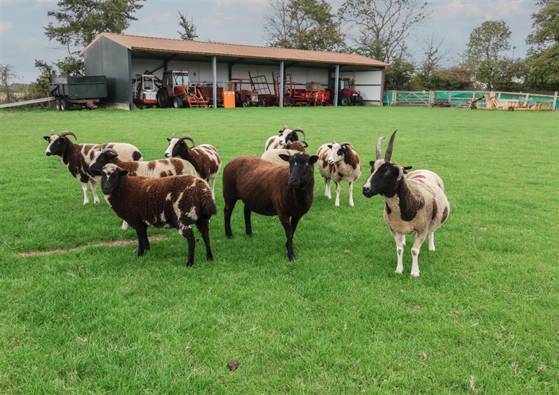 This is the garden (photo 2) at Fishermans Rest, Ipswich