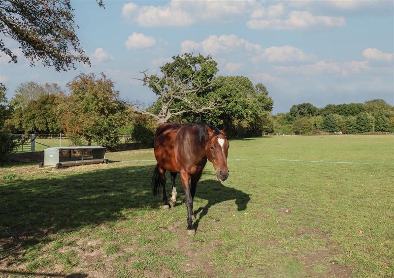 This is the garden (photo 3) at Fishermans Rest, Ipswich