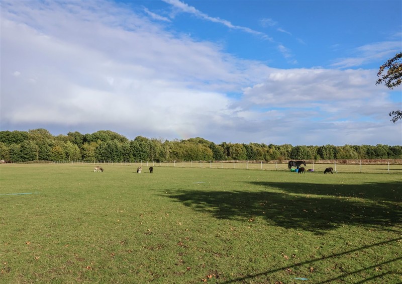 This is the garden at Fishermans Rest, Ipswich