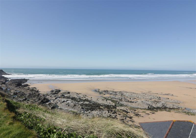 The garden in Fistral Drift (photo 2) at Fistral Drift, Newquay