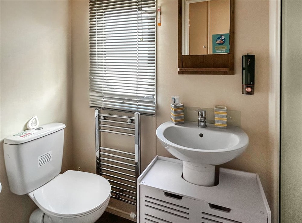 Shower room (photo 2) at Flamingoland in Malton, North Yorkshire