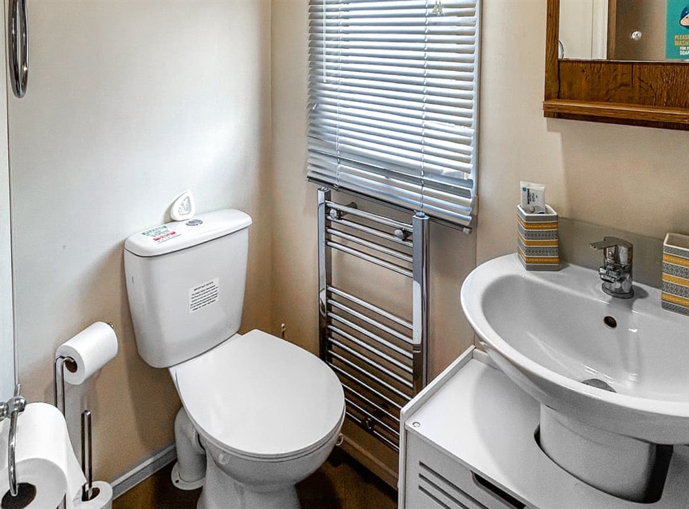 Shower room (photo 4) at Flamingoland in Malton, North Yorkshire