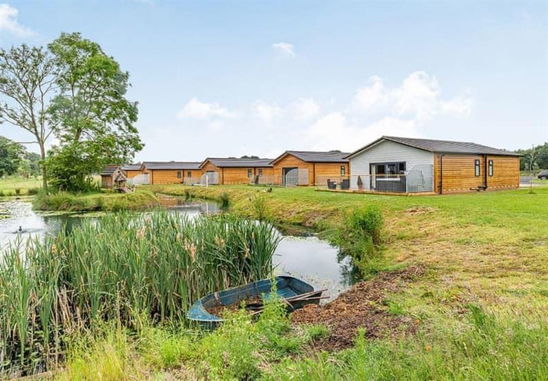 Setting of Flaxton Meadows Luxury Lodges