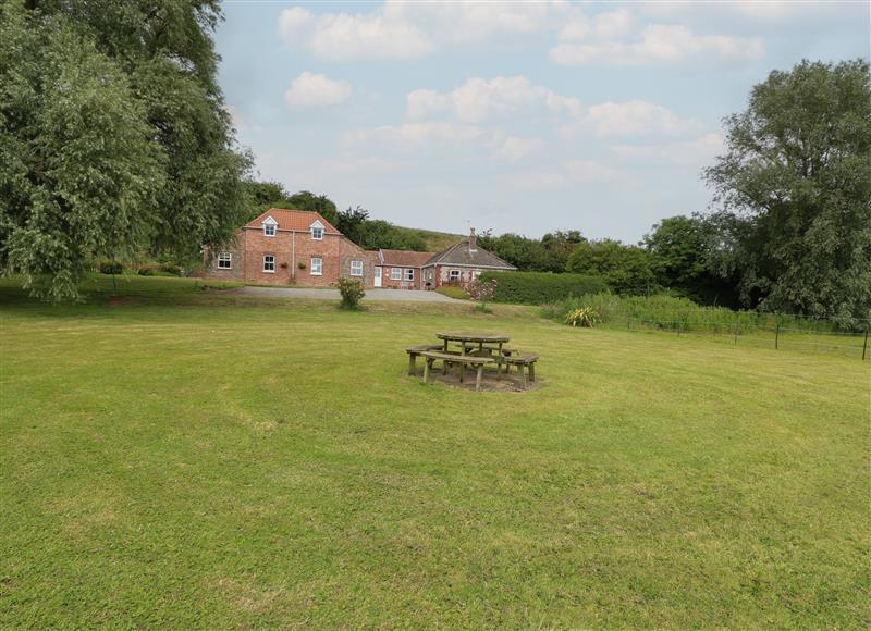 The area around Flint Cottage