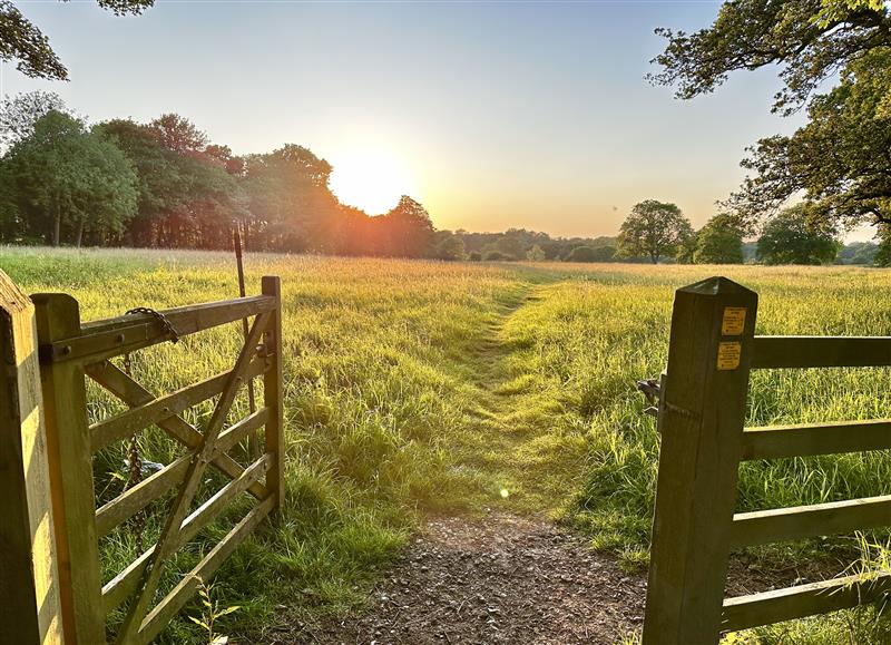 Rural landscape