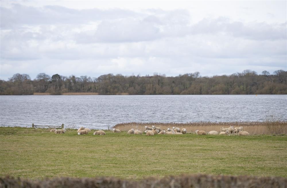 Walk to Hornsea Mere from your doorstep at Flittermouse Barn, Hornsea