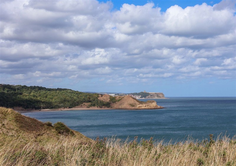 Rural landscape at Floraville, Cayton Bay