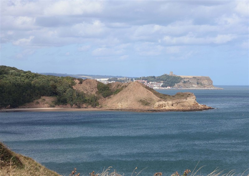 The setting at Floraville, Cayton Bay
