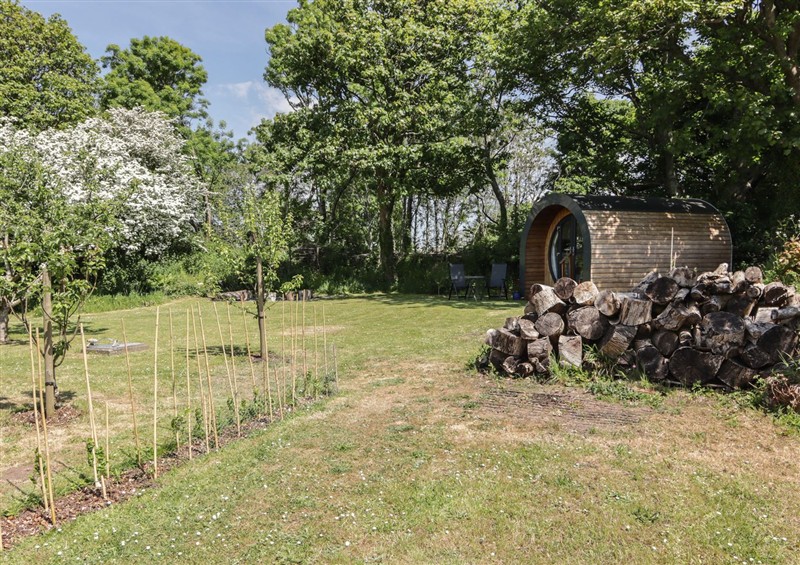 The garden (photo 2) at Florence Pod, Pembroke
