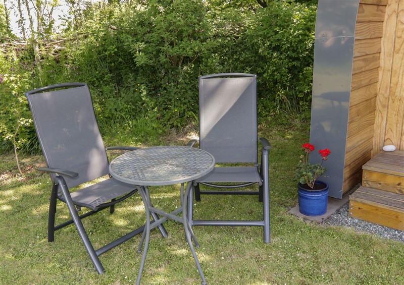 This is the garden at Florence Pod, Pembroke