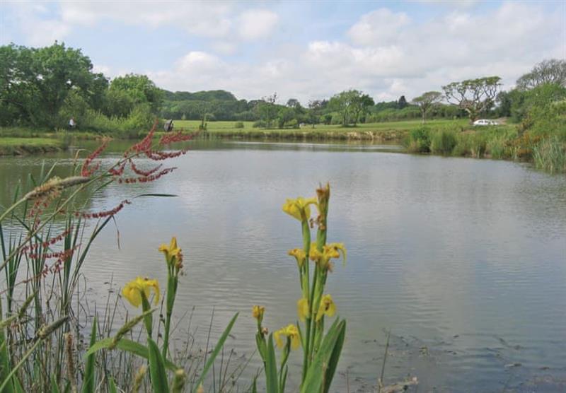 The lake at Florence Springs Glamping in St Florence, Tenby