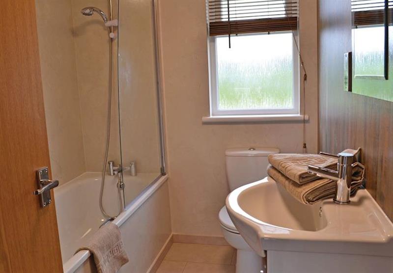 bathroom and shower in the Hazel Lodge at Florence Springs Lakeside Lodges in St Florence, Tenby