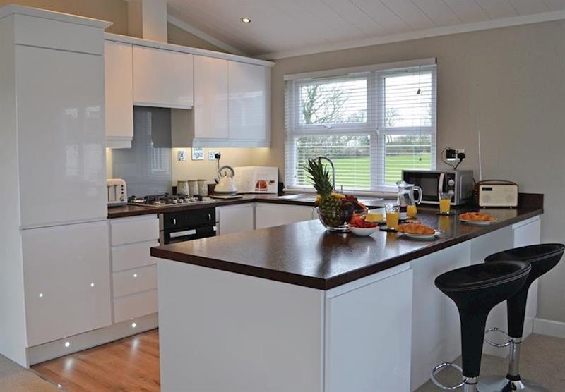 Kitchen in the Maple Lodge at Florence Springs Lakeside Lodges in St Florence, Tenby