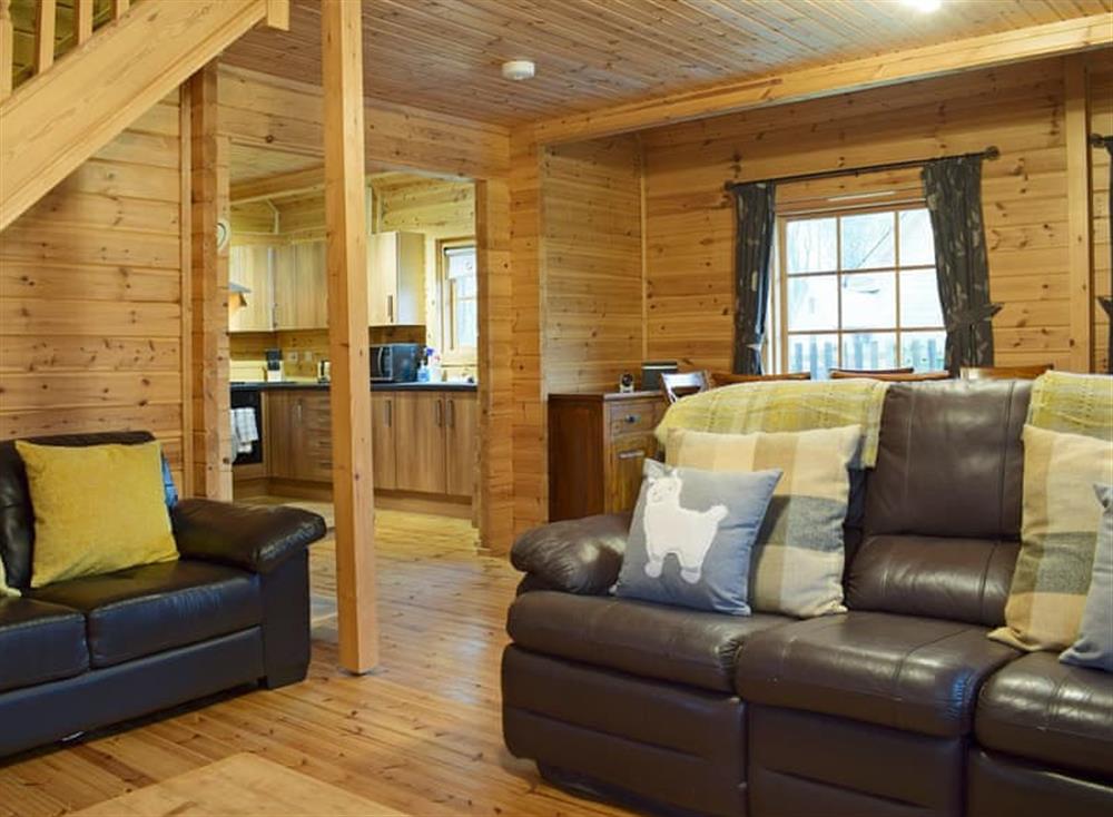 Beautifully presented open plan living space at Flynns Lodge in Llanbedr, near Harlech, Gwynedd