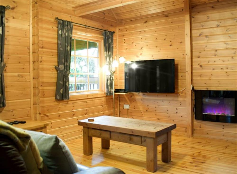 Cosy living area at Flynns Lodge in Llanbedr, near Harlech, Gwynedd