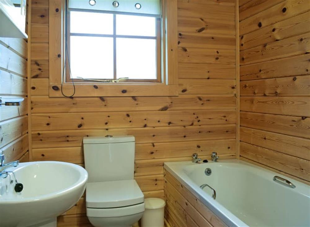 Ground floor bathroom at Flynns Lodge in Llanbedr, near Harlech, Gwynedd