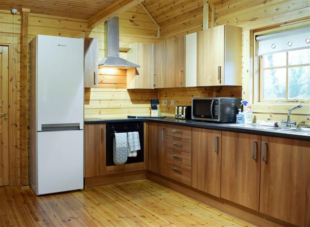 Spacious kitchen at Flynns Lodge in Llanbedr, near Harlech, Gwynedd