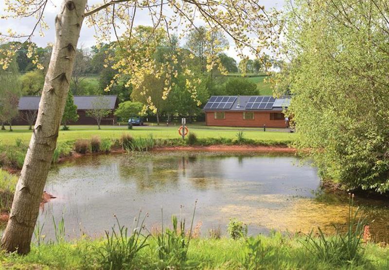 The park setting at Ford Farm Lodges in Gloucestershire, Heart of England