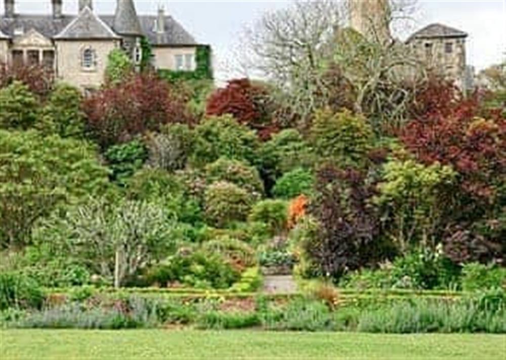 Armaddy castle gardens at Forest Cottage in Ardmaddy Castle, Nr Oban, Argyll., Great Britain