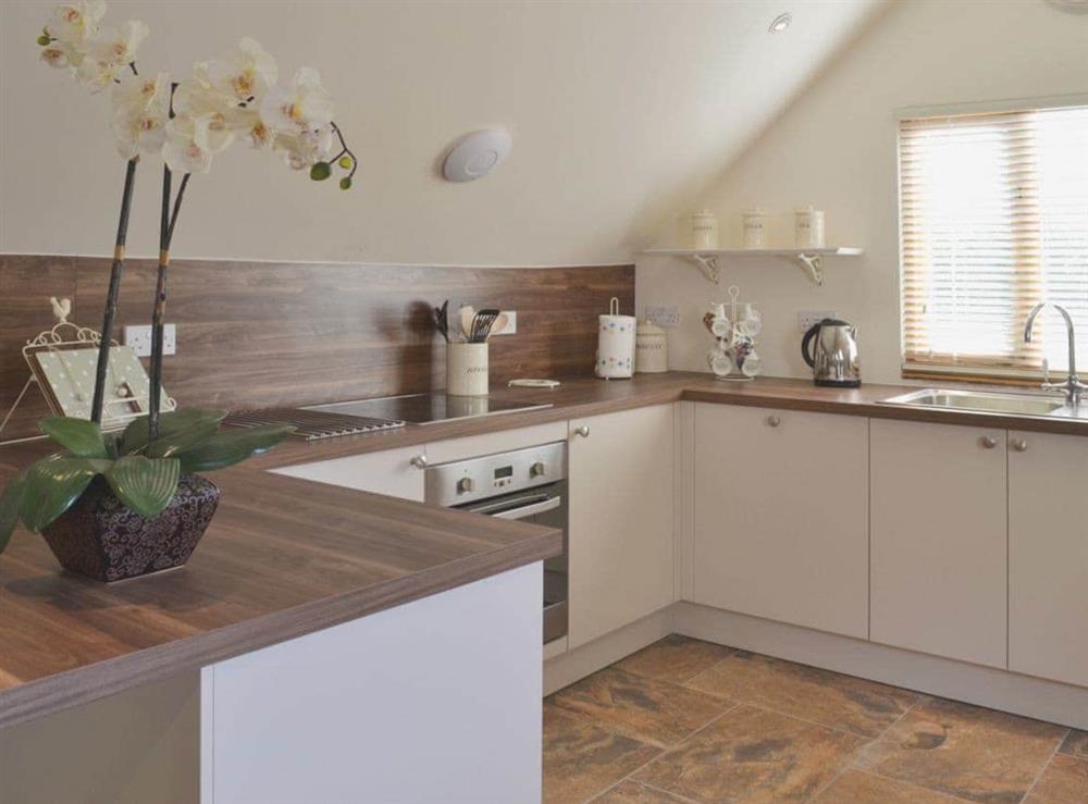 Modern kitchen area (photo 2) at Forest Cottage in Northwold, Norfolk