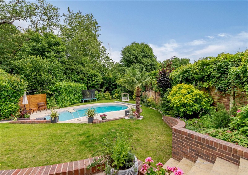 The garden in Forest Getaway at Forest Getaway, Burnham Beeches near Farnham Common