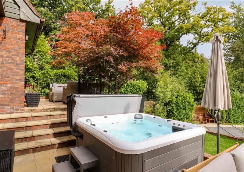 This is the garden at Forest Getaway, Burnham Beeches near Farnham Common