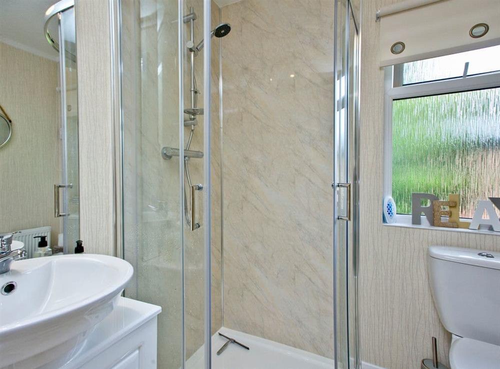 En-suite at Forest Glade Lodge in Lanlivery, Cornwall