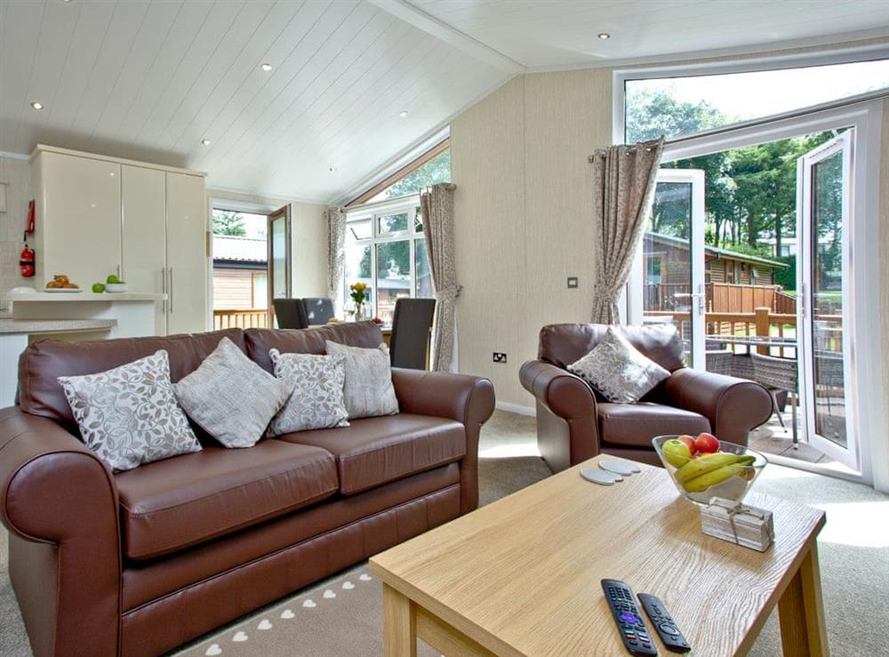 Living area (photo 3) at Forest Glade Lodge in Lanlivery, Cornwall