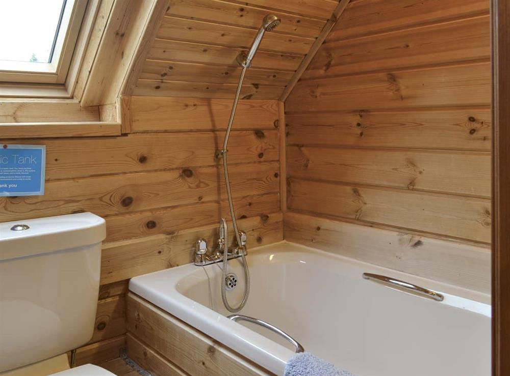 Bathroom (photo 2) at Forest Lodge Glenisle in Dalbeattie, Kirkcudbrightshire