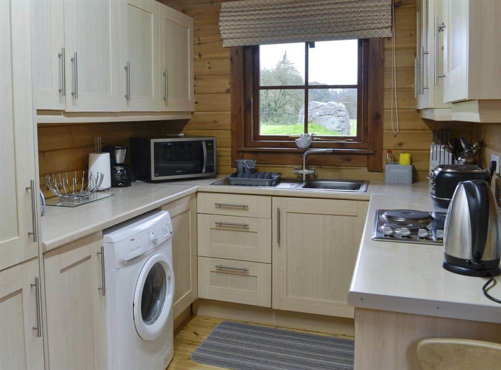 Kitchen at Forest Lodge Glenisle in Dalbeattie, Kirkcudbrightshire