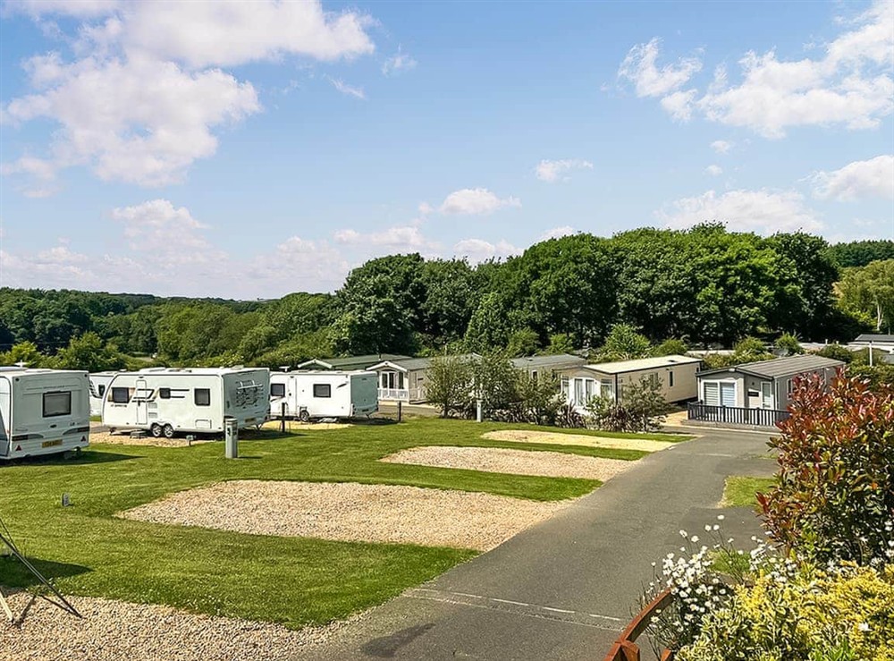 Setting at Forest Sherman in Durham, Tyne and Wear