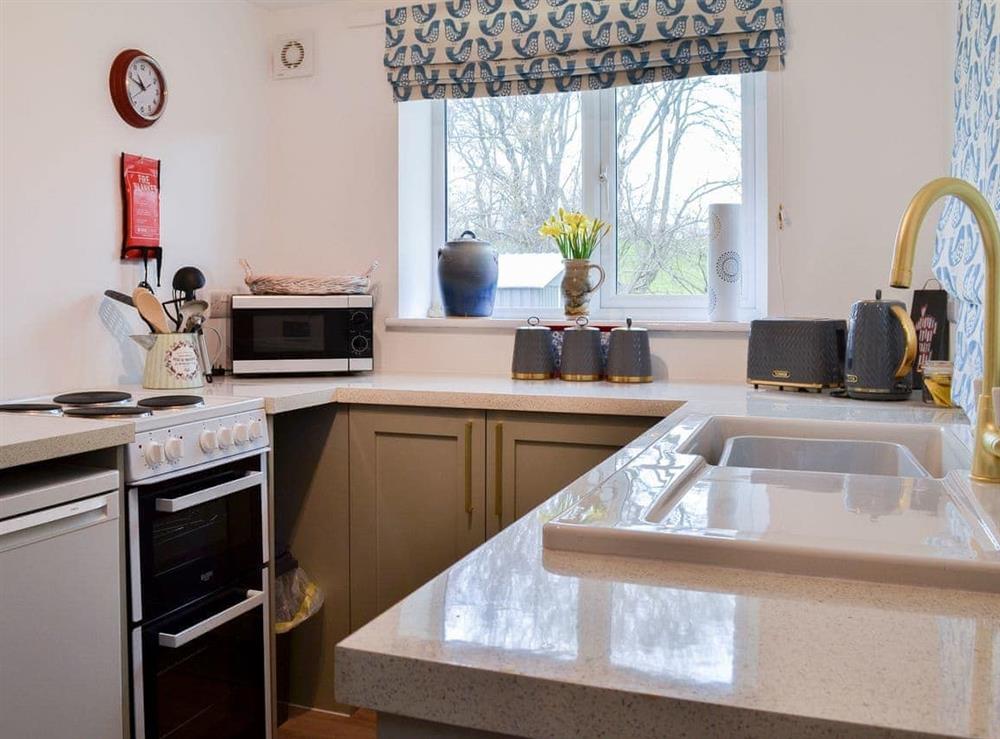 Kitchen at Forest View Annexe in Dolau, near Llandrindod Wells, Powys